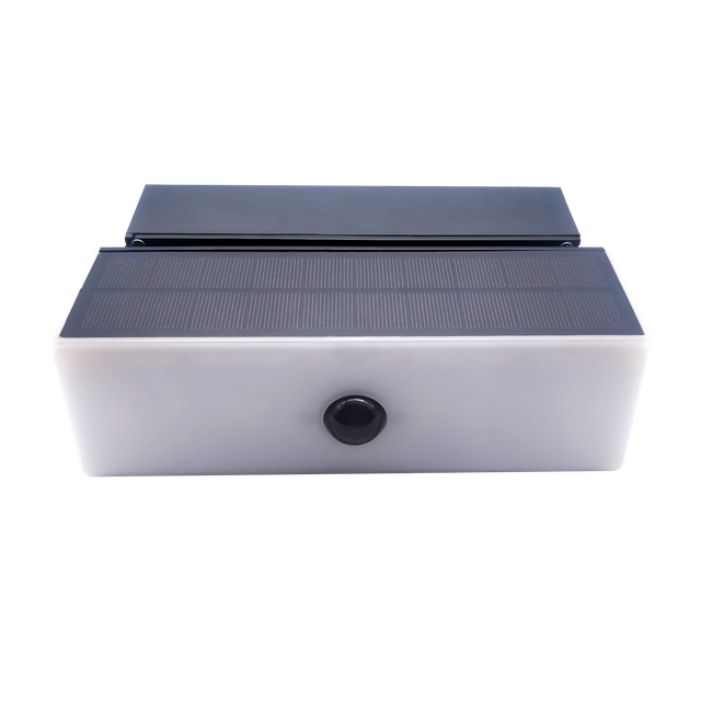 追人追日太阳能壁灯